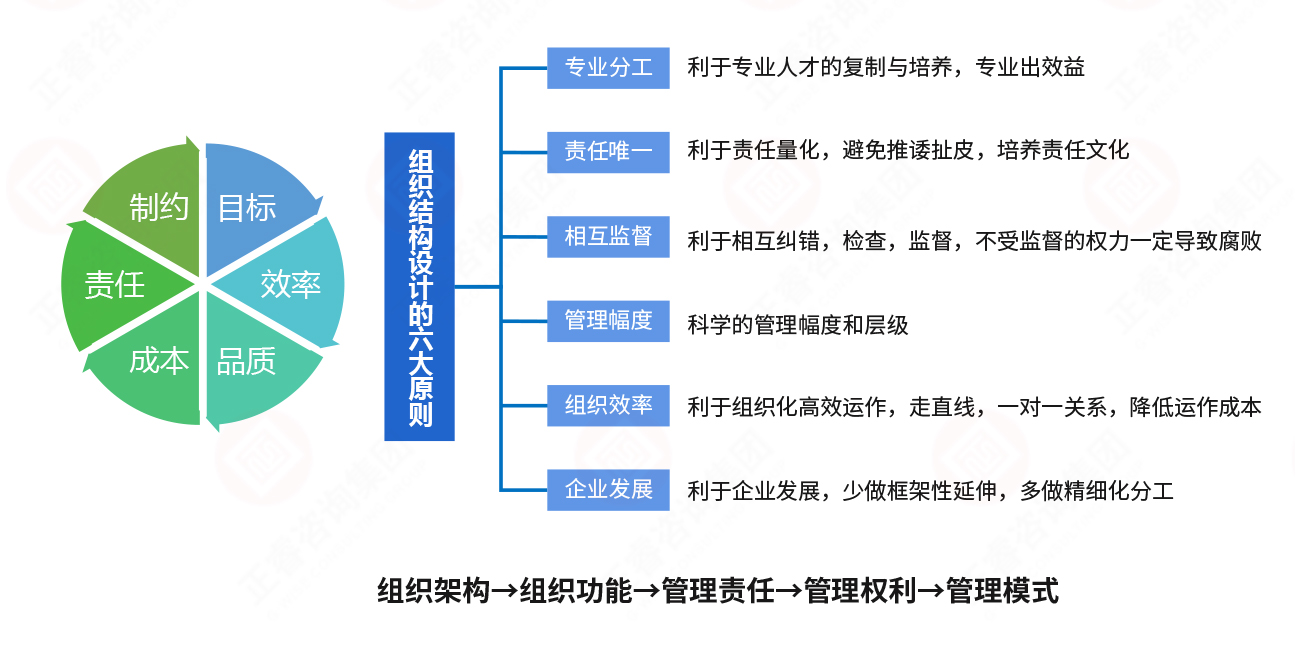 组织结构设计原则