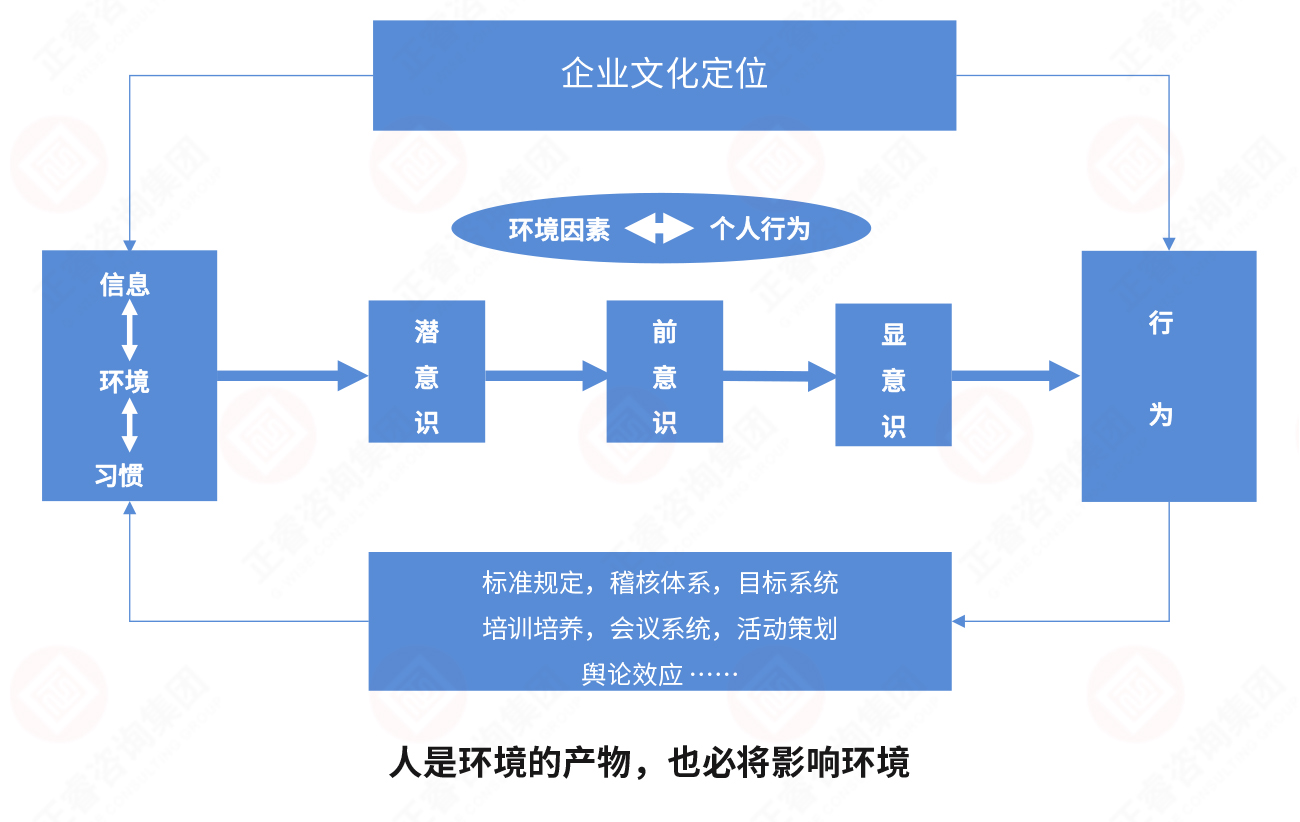 从环境到行为